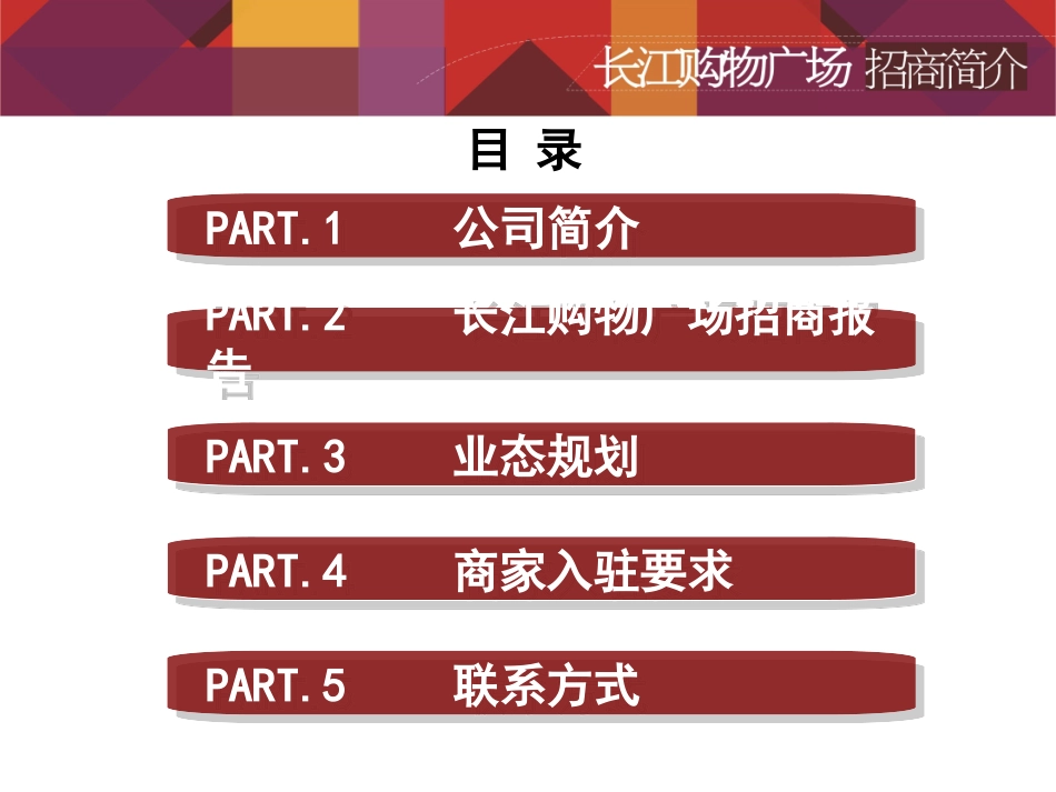 购物广场招商策划案_第2页