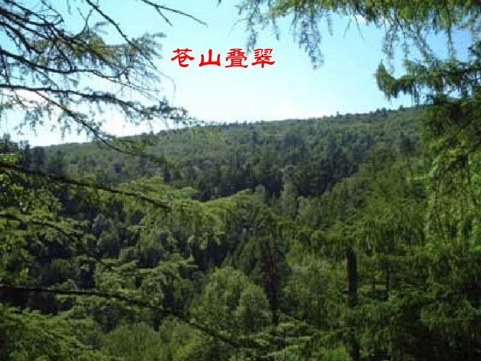 《地下森林断想》课堂_第1页