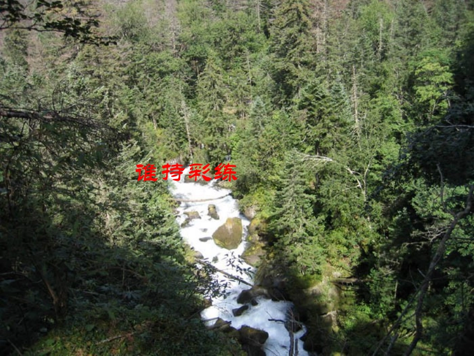 《地下森林断想》课堂_第2页