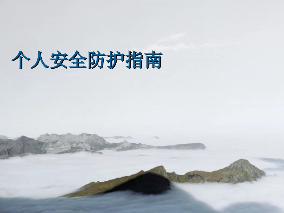 个人安全防护指南2010_第1页
