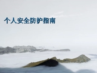个人安全防护指南2010