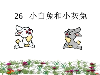 小白兔和小灰兔课件