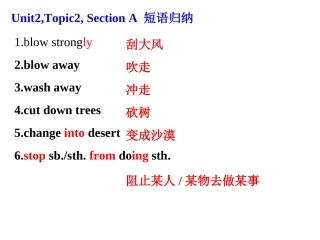 Unit2-Topic2-SectionA短语
