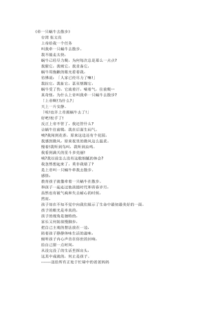 牵着蜗牛去散步