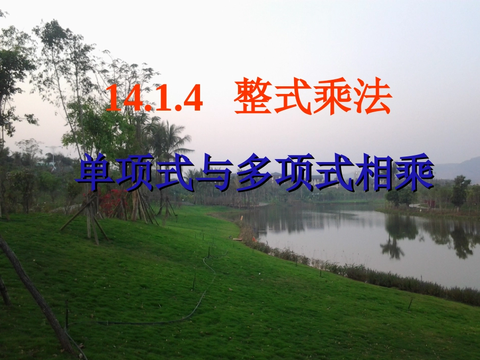 14.1.4-整式乘法(单项式乘多项式)_第1页