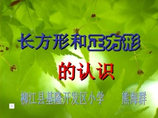 人教2011版小学数学三年级长方形和正方形的认识