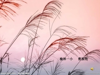 《小英雄雨来》PPT