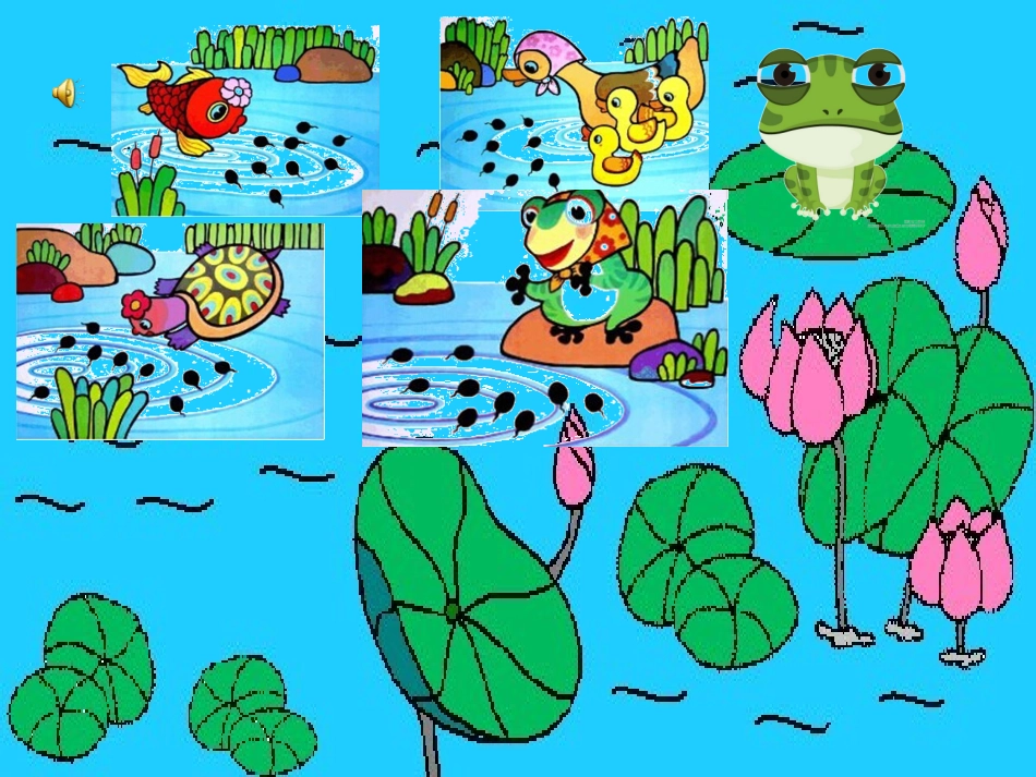 小青蛙ppt_第3页