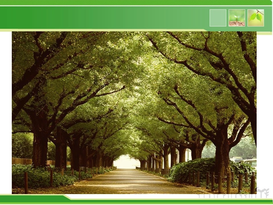 少先队员植树造林歌_第2页