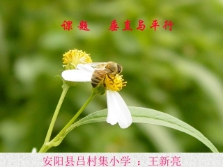 《垂直与平行》课件(1)