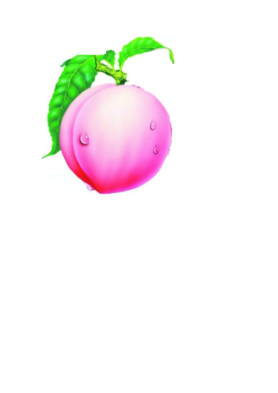 人教2011版小学数学三年级新课学习研究单_第3页