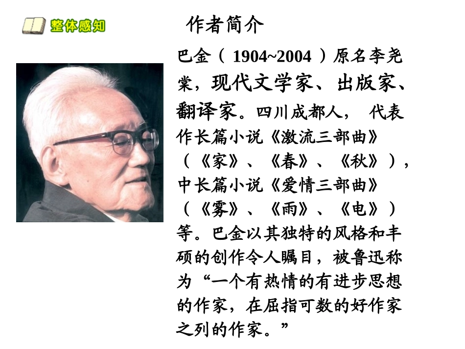 四年级语文上册课件鸟的天堂_第2页