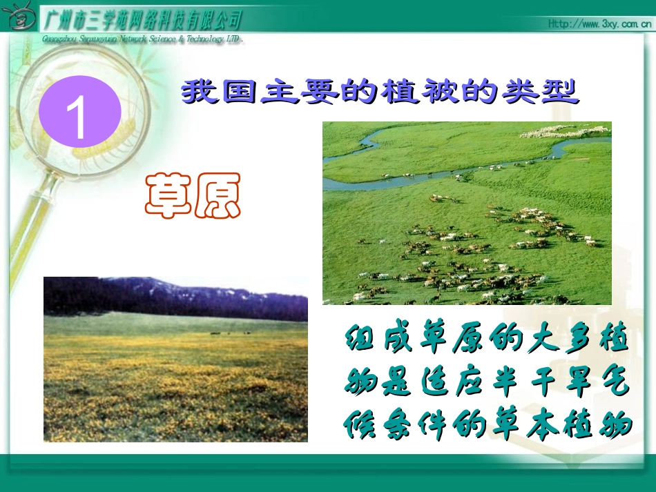 爱护植被-绿化祖国(1)_第3页