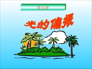 光的偏振及相关知识