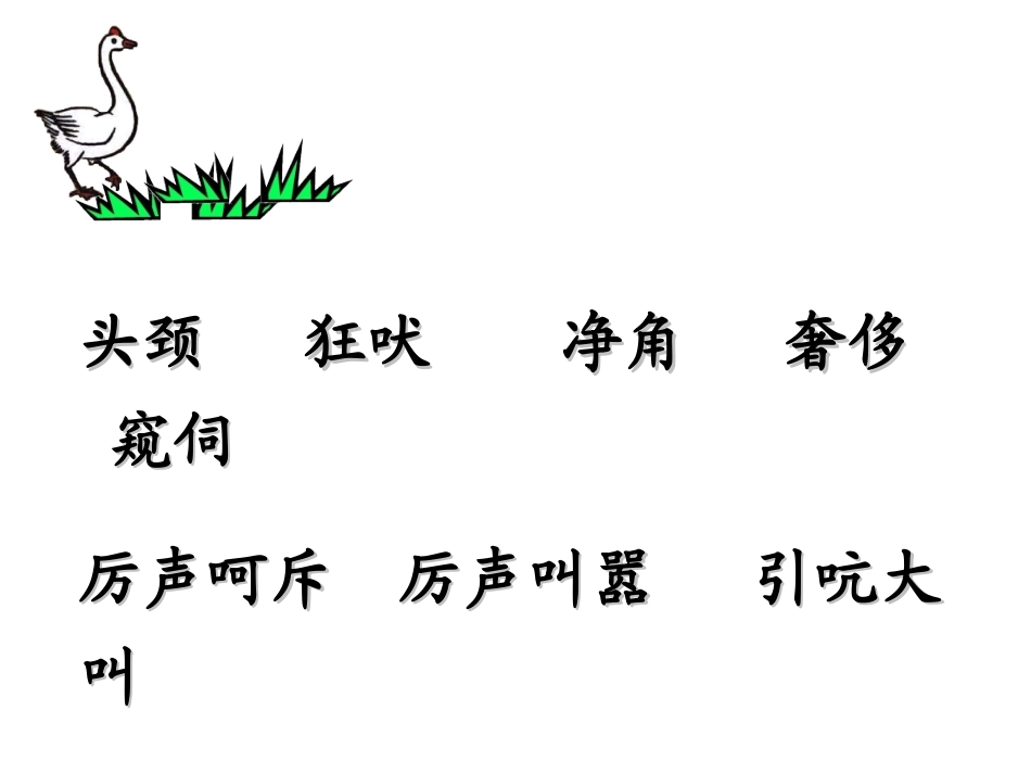 《白鹅》教学ppt_第2页