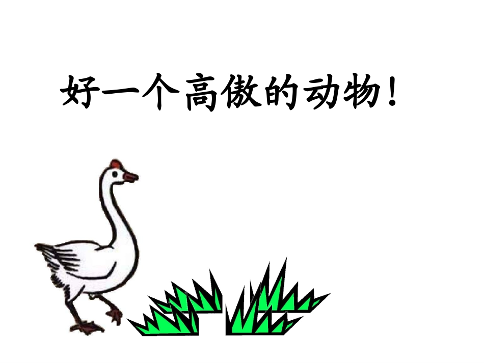 《白鹅》教学ppt_第3页