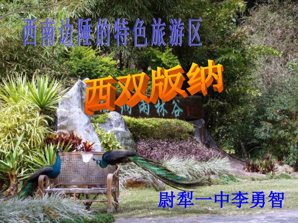 西南边陲的特色旅游区西双版纳_第2页