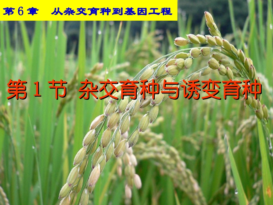 必修二6.1文_第1页