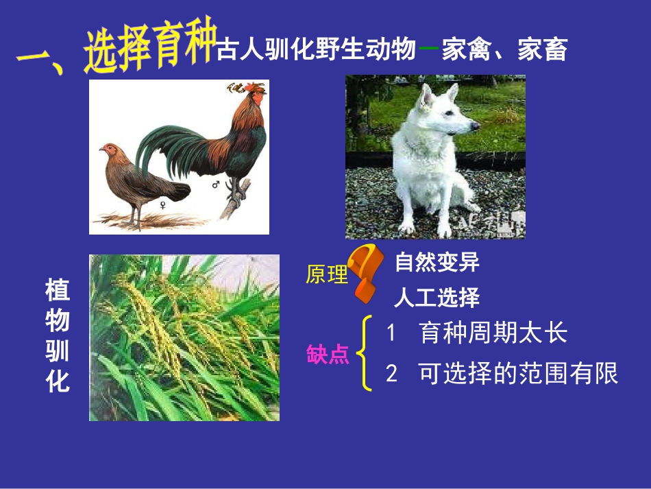 必修二6.1文_第2页