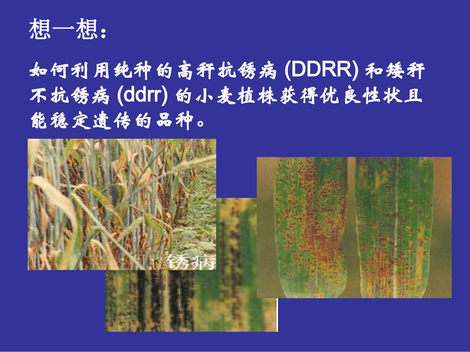 必修二6.1文_第3页