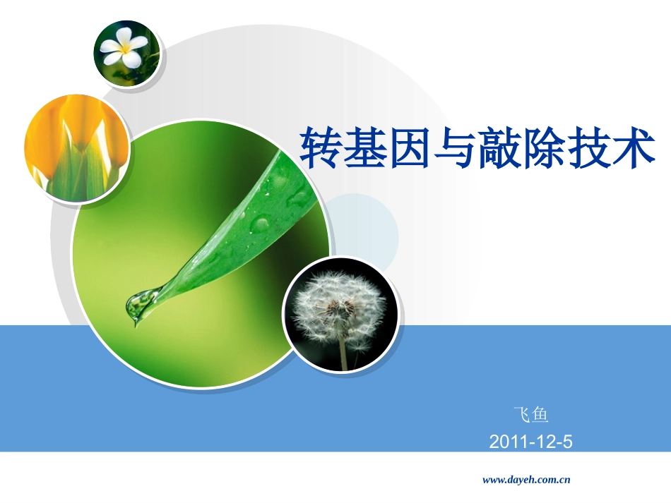 转基因和基因敲除技术(及英文文献讲解)_第1页