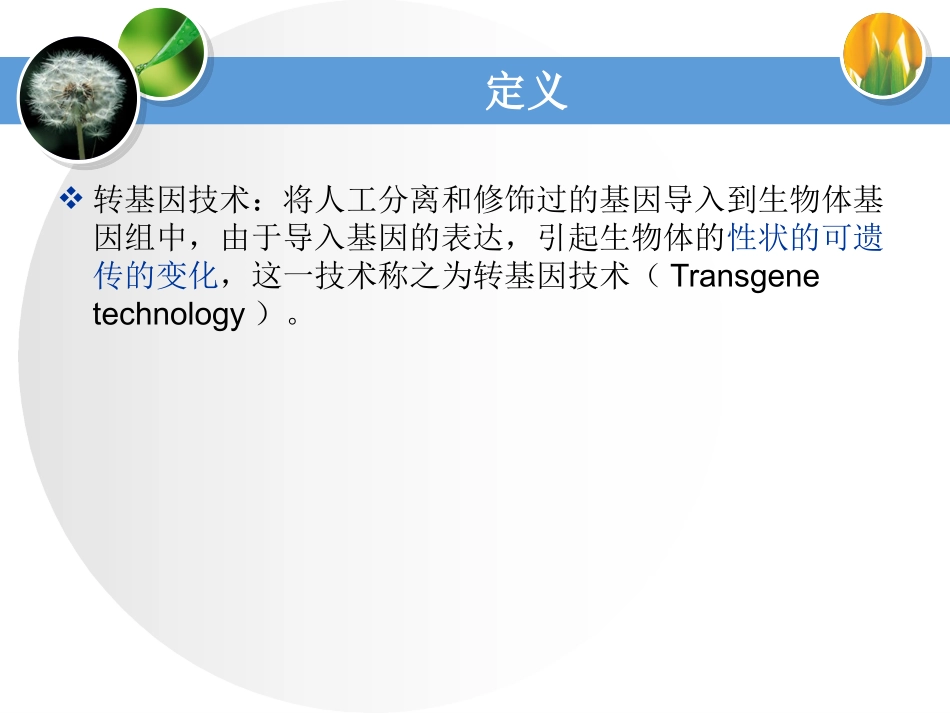 转基因和基因敲除技术(及英文文献讲解)_第3页
