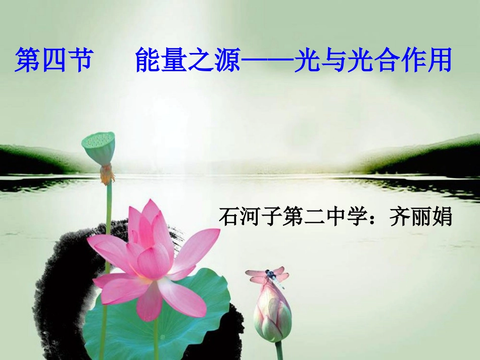 必修一54能量之源——光与光合作用_第1页