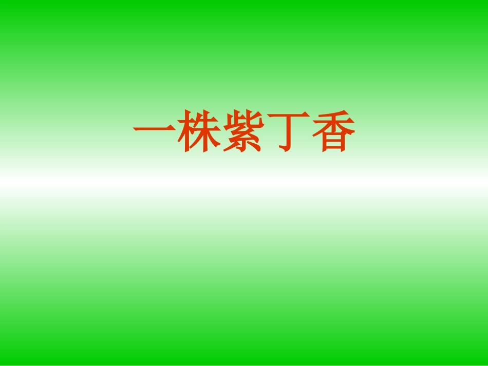 一株紫丁香 (3)_第1页