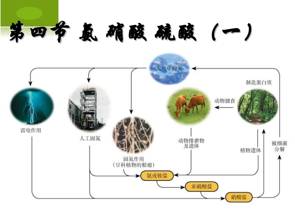 广东省河源市龙川县第一中学高中化学必修一 441《氨》课件(新人教版必修1)_第1页