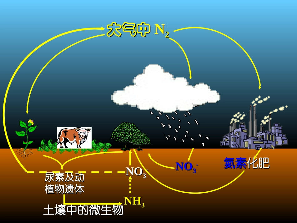 广东省河源市龙川县第一中学高中化学必修一 441《氨》课件(新人教版必修1)_第2页
