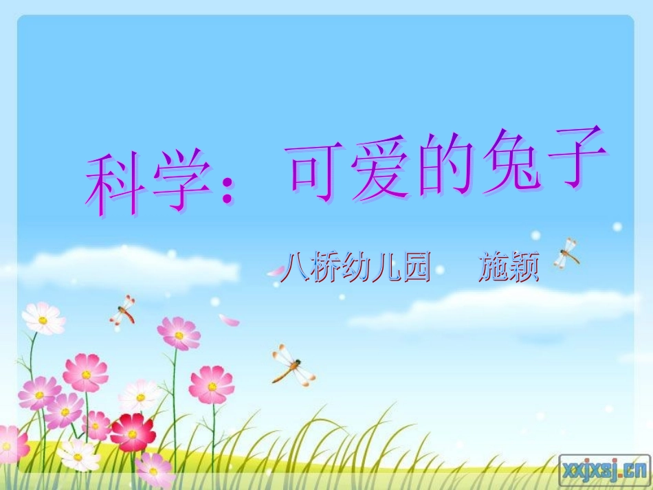 科学：可爱的兔子_第1页