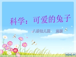 科学：可爱的兔子