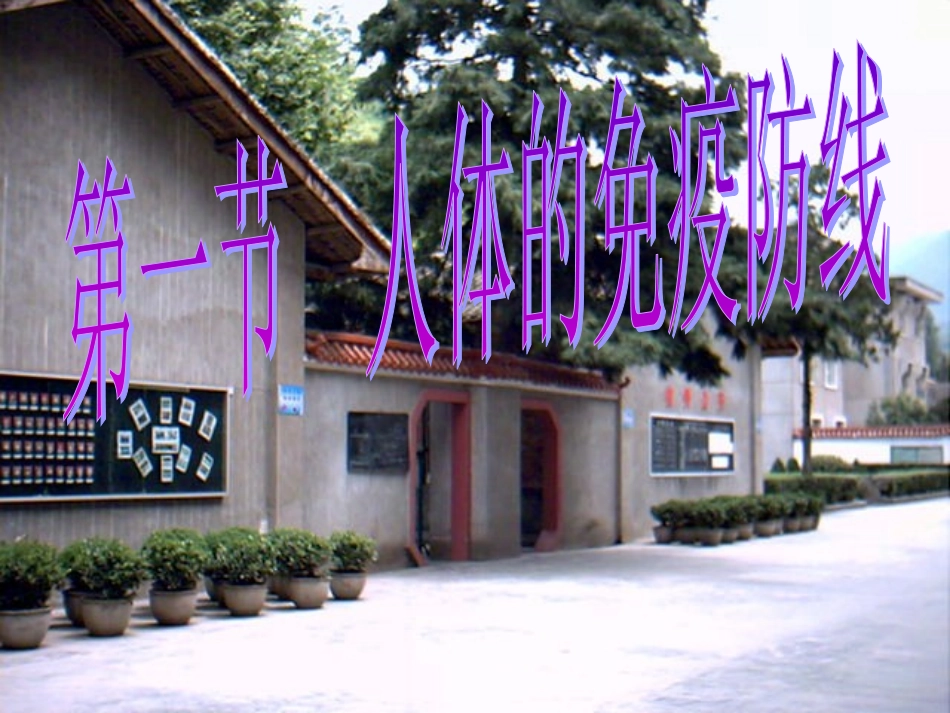 人体的免疫防线课件_第1页