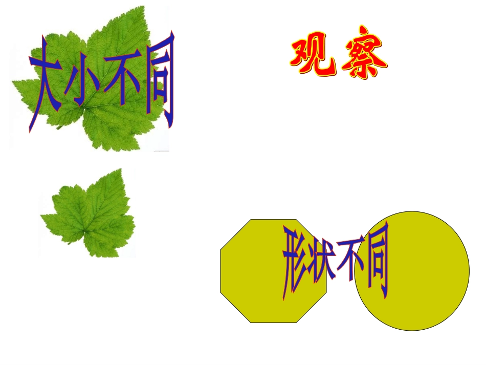 12.1全等三角形.1全等三角形(2)(3)_第1页