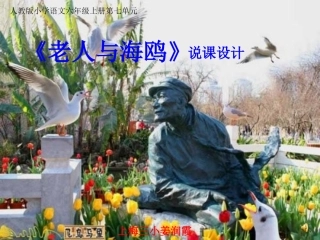 《老人与海鸥》说课稿