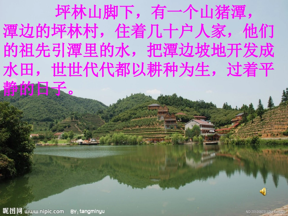 《最后一只白鹭鸶》_第2页