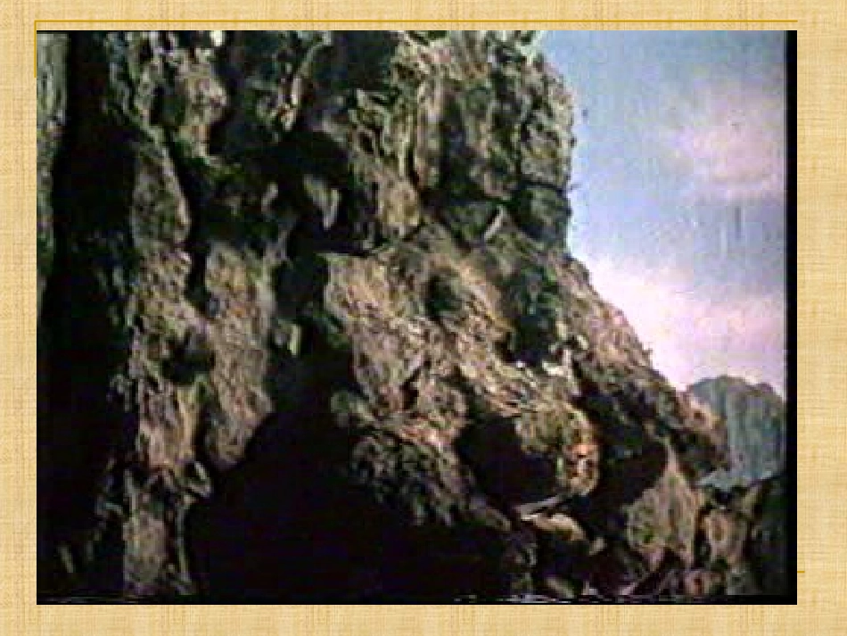 五年级语文上册第六组17.地震中的父与子第二课时课件_第2页