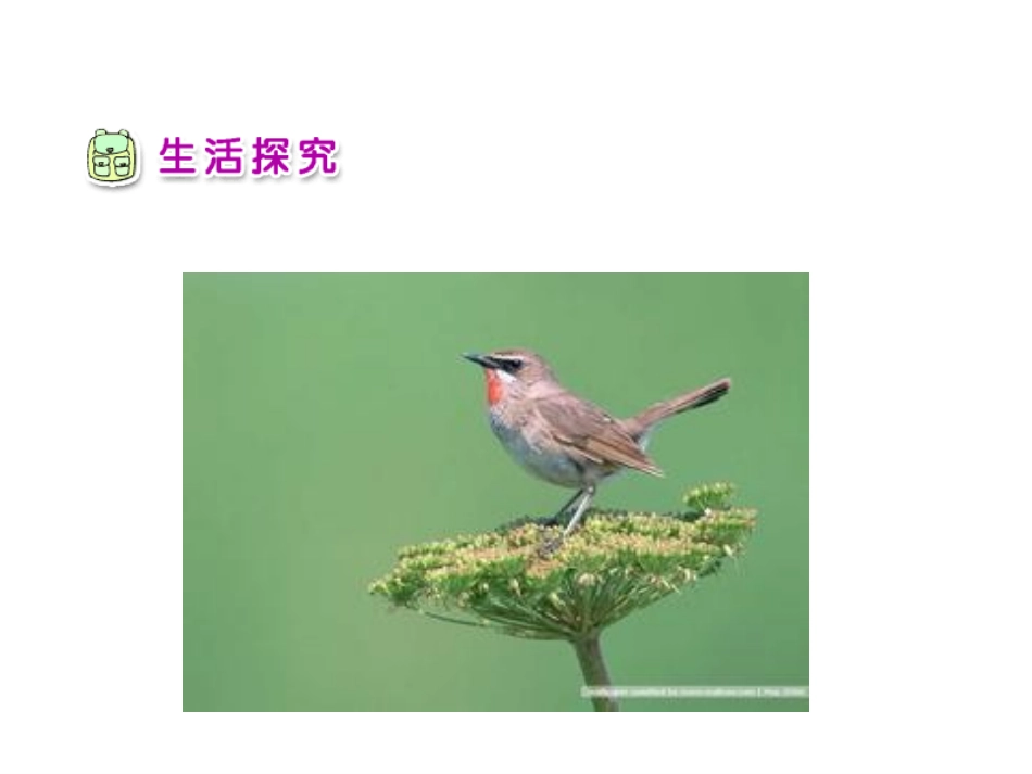 山东人民出版社四年级品德与生活下册《走进健康》课件_第3页