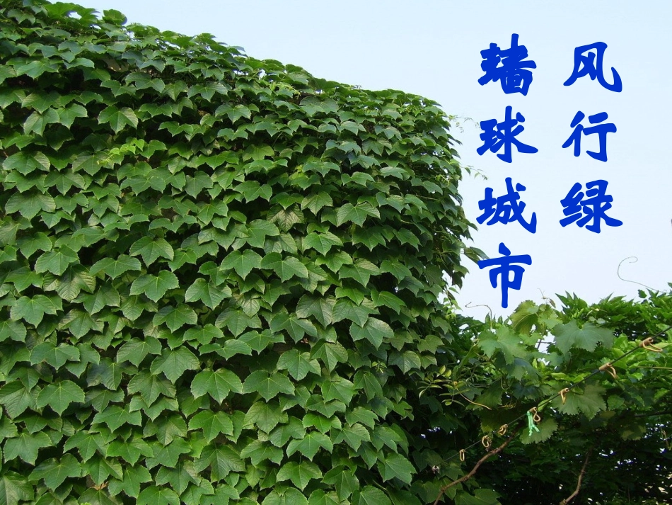 环球城市风行绿墙_第1页