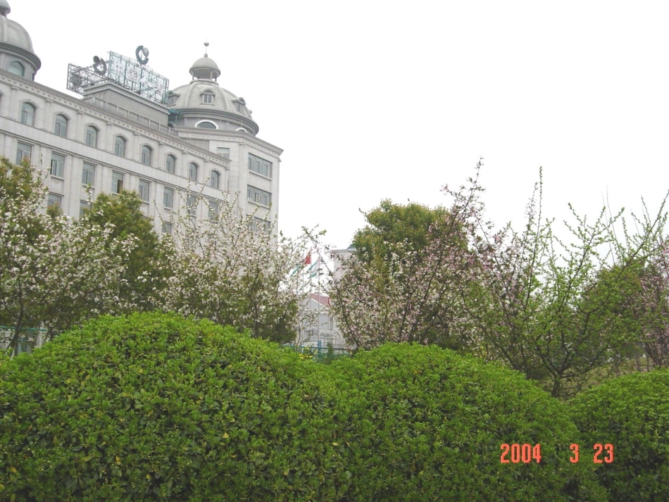 环球城市风行绿墙_第2页