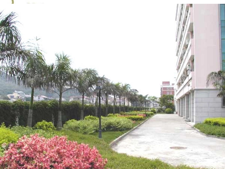 环球城市风行绿墙_第3页