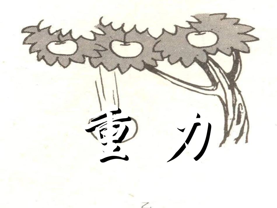 八年级物理重力课件4(1)_第3页