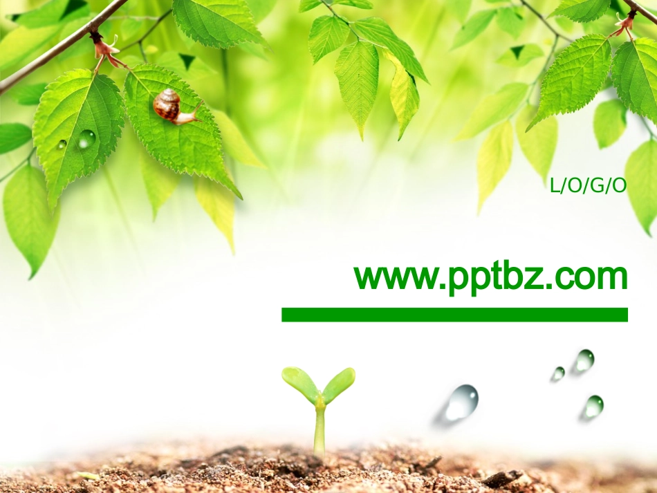 绿色韩国春天漂亮模板_第1页