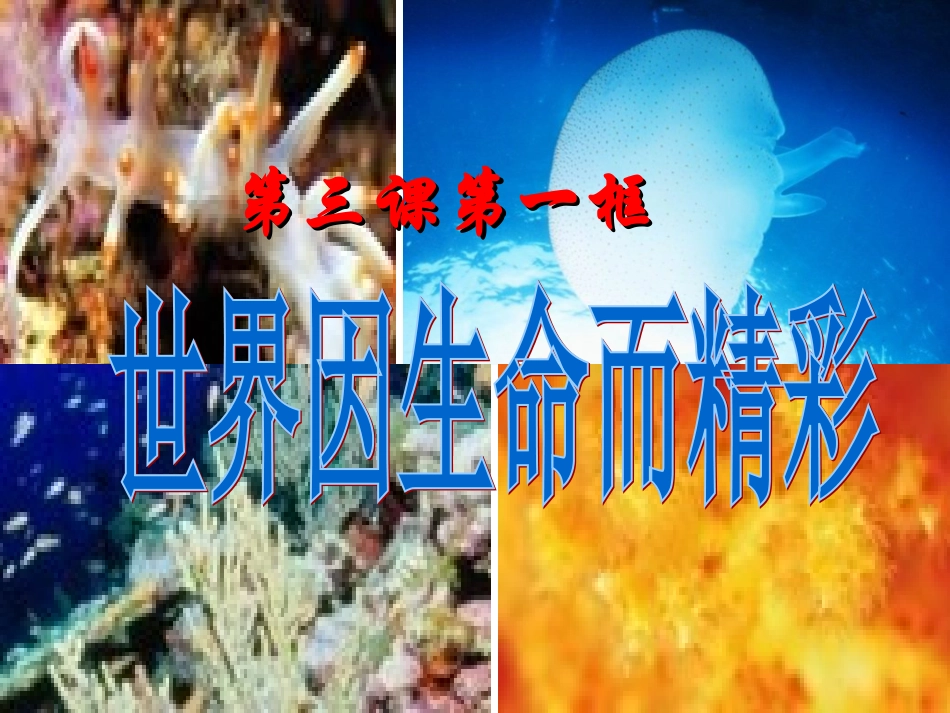 世界因生命而精彩_第1页