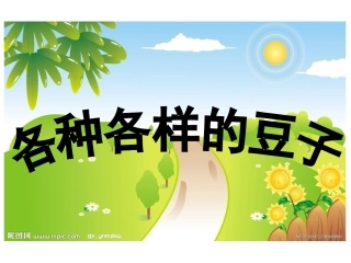 各种各样的豆子。