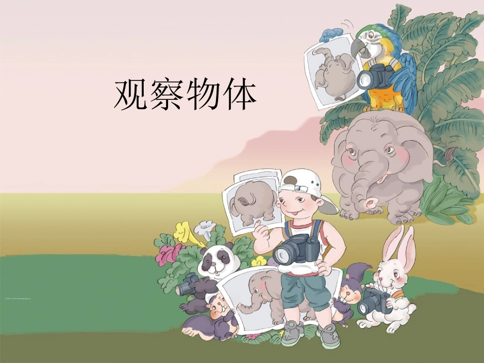 小学数学二年级上册《观察物体》_第1页