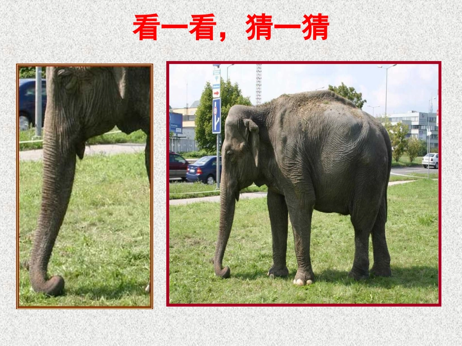 小学数学二年级上册《观察物体》_第2页