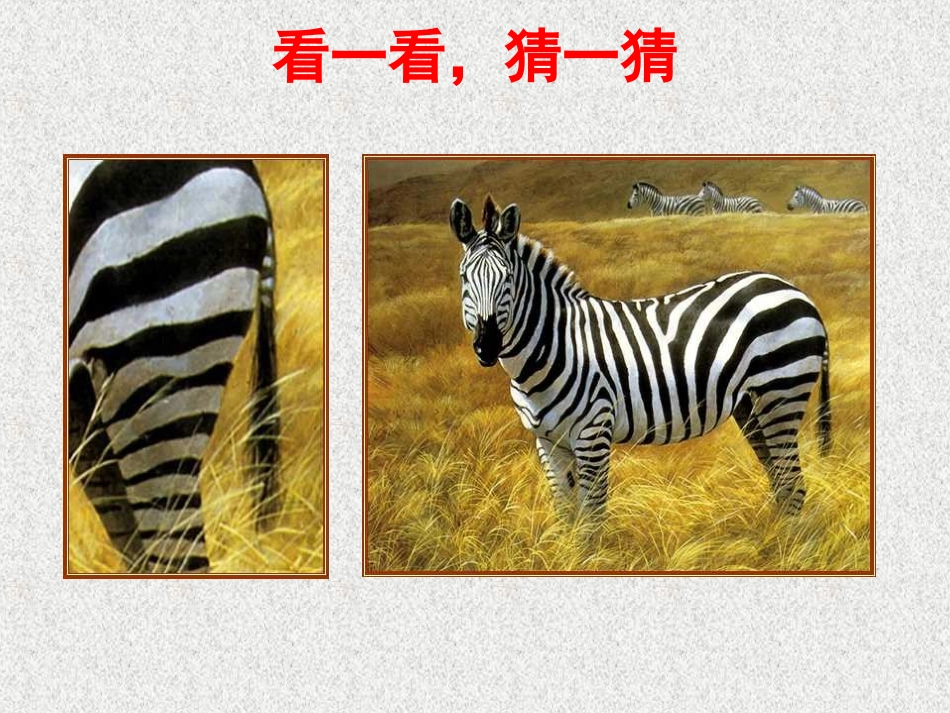 小学数学二年级上册《观察物体》_第3页