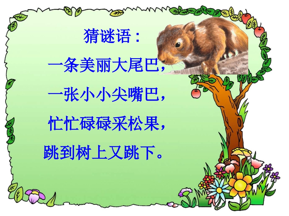 松鼠第一课时_第1页