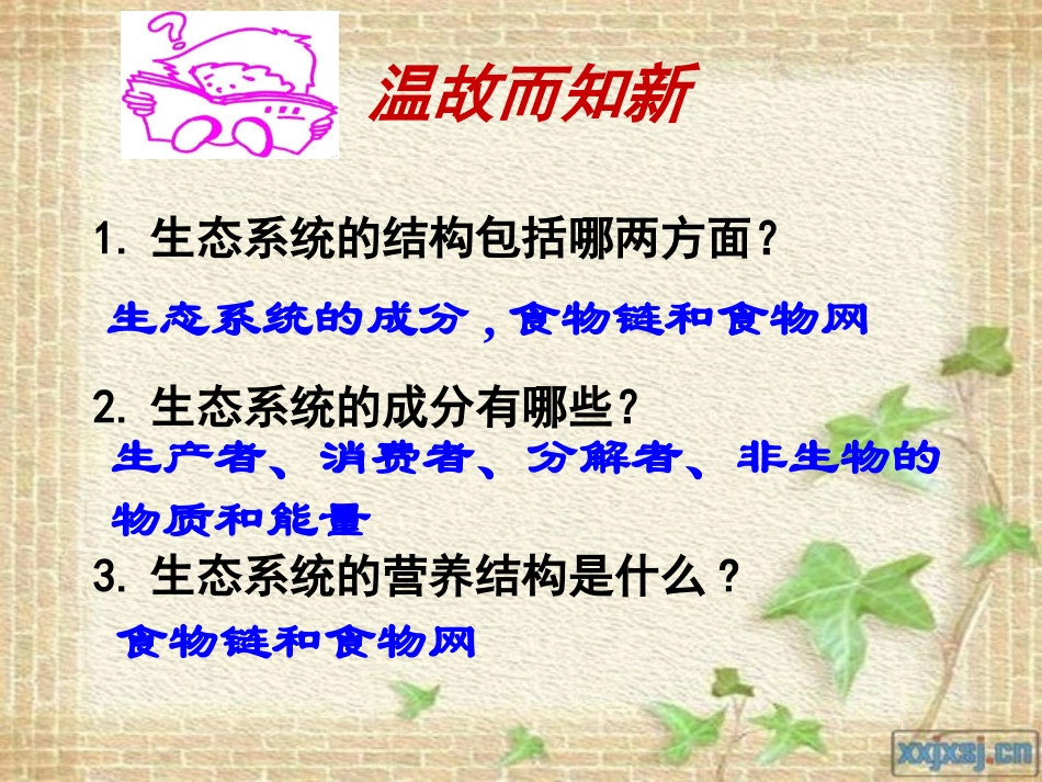 第五章第2节生态系统的能量流动_第2页